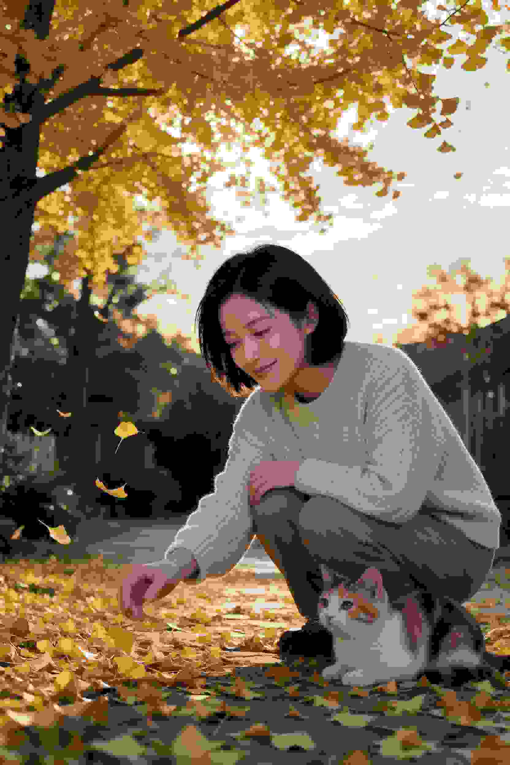 韩剧